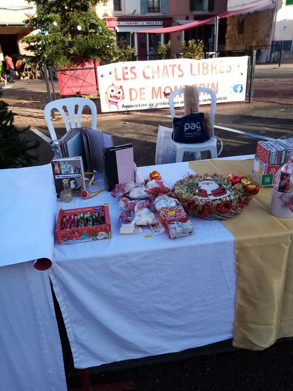 Photo 4 de LES CHATS LIBRES DE MONTFRIN